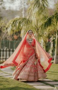 Photos by Safarsaga Films